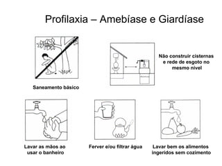 Profilaxia – Amebíase e Giardíase Saneamento básico Não construir cisternas  e rede de esgoto no  mesmo nível Lavar as mãos ao  usar o banheiro Ferver e/ou filtrar água Lavar bem os alimentos  ingeridos sem cozimento 