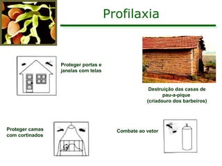 Profilaxia Proteger portas e  janelas com telas Proteger camas  com cortinados Combate ao vetor Destruição das casas de pau-a-pique  (criadouro dos barbeiros) 
