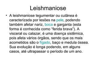 Leishmaniose A leishmaniose tegumentar ou cutânea é caracterizada por lesões na  pele , podendo também afetar nariz,  boca  e garganta (esta forma é conhecida como “ferida brava”). A visceral ou calazar, é uma doença sistêmica, pois afeta vários órgãos, sendo que os mais acometidos são o  fígado , baço e medula óssea. Sua evolução é longa podendo, em alguns casos, até ultrapassar o período de um ano. 
