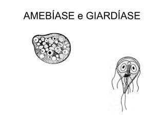 AMEBÍASE e GIARDÍASE Giardia lamblia Entamoeba histolytica 