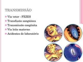 TRANSMISSÃO Via vetor - FEZES Transfusão sangüínea Transmissão congênita Via leite materno  Acidentes de laboratório 