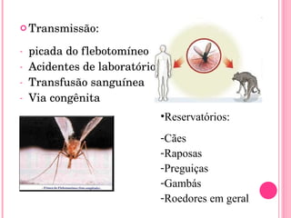 Transmissão:  picada do flebotomíneo Acidentes de laboratório Transfusão sanguínea Via congênita Reservatórios: Cães Raposas Preguiças Gambás Roedores em geral 