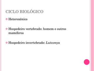CICLO BIOLÓGICO Heteroxênico Hospedeiro vertebrado: homem e outros mamíferos Hospedeiro invertebrado:  Lutzomya 