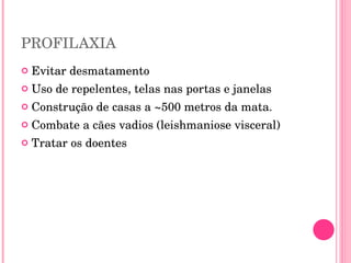 PROFILAXIA Evitar desmatamento Uso de repelentes, telas nas portas e janelas Construção de casas a ~500 metros da mata. Combate a cães vadios (leishmaniose visceral) Tratar os doentes 