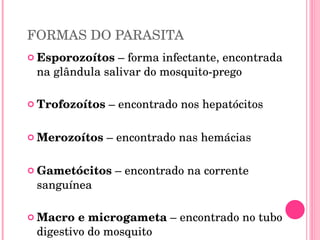FORMAS DO PARASITA Esporozoítos  – forma infectante, encontrada na glândula salivar do mosquito-prego Trofozoítos  – encontrado nos hepatócitos Merozoítos  – encontrado nas hemácias Gametócitos  – encontrado na corrente sanguínea Macro e microgameta  – encontrado no tubo digestivo do mosquito 