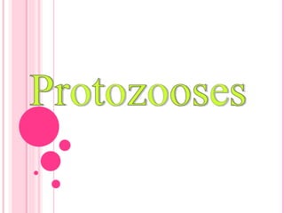 Protozooses 