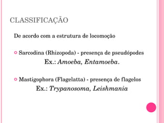 CLASSIFICAÇÃO De acordo com a estrutura de locomoção Sarcodina (Rhizopoda) - presença de pseudópodes Ex.:  Amoeba, Entamoeba . Mastigophora (Flagelatta) - presença de flagelos Ex.:  Trypanosoma, Leishmania 