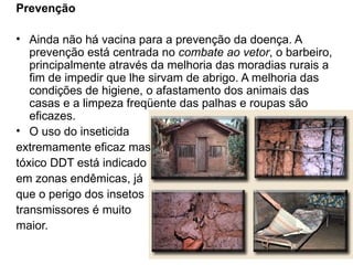 Prevenção

• Ainda não há vacina para a prevenção da doença. A
   prevenção está centrada no combate ao vetor, o barbeiro,
   principalmente através da melhoria das moradias rurais a
   fim de impedir que lhe sirvam de abrigo. A melhoria das
   condições de higiene, o afastamento dos animais das
   casas e a limpeza freqüente das palhas e roupas são
   eficazes.
• O uso do inseticida
extremamente eficaz mas
tóxico DDT está indicado
em zonas endêmicas, já
que o perigo dos insetos
transmissores é muito
maior.
 