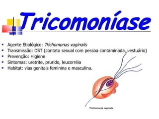    Agente Etiológico: Trichomonas vaginalis
   Transmissão: DST (contato sexual com pessoa contaminada, vestuário)
   Prevenção: Higiene
   Sintomas: uretrite, prurido, leucorréia
   Habitat: vias genitais feminina e masculina.




                                           Trichomonas vaginalis
 