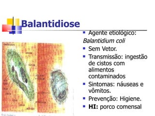 Balantidiose
                Agente etiológico:
               Balantidium coli
                Sem Vetor.

                Transmissão: ingestão

                 de cistos com
                 alimentos
                 contaminados
                Sintomas: náuseas e

                 vômitos.
                Prevenção: Higiene.

                HI: porco comensal
 