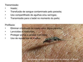 Transmissão:
•    Inseto;
•    Transfusão de sangue contaminado pelo parasita;
•    Uso compartilhado de agulhas e/ou seringas;
•    Transmissão para o bebê no momento do parto;

Profilaxia:
•     Eliminar criadouros do inseto vetor (água parada);
•     Larvicidas e inseticidas;
•     Proteger portas e janelas com telas;
•     Uso de repelentes de insetos.




                      Anopheles darlingi (principal vetor da doença no Brasil)
 