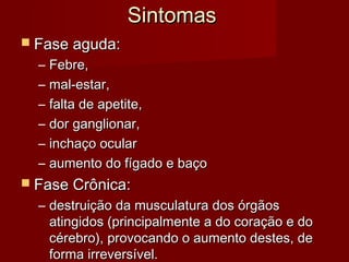Sintomas
 Fase aguda:
  –   Febre,
  –   mal-estar,
  –   falta de apetite,
  –   dor ganglionar,
  –   inchaço ocular
  –   aumento do fígado e baço
 Fase Crônica:
  – destruição da musculatura dos órgãos
    atingidos (principalmente a do coração e do
    cérebro), provocando o aumento destes, de
    forma irreversível.
 