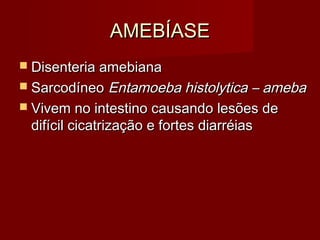 AMEBÍASE
 Disenteria amebiana
 Sarcodíneo Entamoeba histolytica – ameba
 Vivem no intestino causando lesões de
 difícil cicatrização e fortes diarréias
 