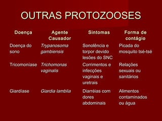 OUTRAS PROTOZOOSES
  Doença         Agente         Sintomas        Forma de
                Causador                        contágio
Doença do   Trypanosoma       Sonolência e    Picada do
sono        gambiensis        torpor devido   mosquito tsé-tsé
                              lesões do SNC
Tricomoníase Trichomonas      Corrimentos e   Relações
             vaginalis        infecções       sexuais ou
                              vaginais e      sanitários
                              uretrais
Giardíase   Giardia lamblia   Diarréias com   Alimentos
                              dores           contaminados
                              abdominais      ou água
 