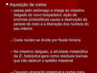  Aquisição de cistos
  – passa pelo estômago e chega ao intestino
    delgado do novo hospedeiro: ação de
    enzimas proteolíticas causa a destruição da
    parede do cisto e a liberação dos núcleos do
    seu interior.


  – Cada núcleo se divide por fissão binária


  – No intestino delgado, a atividade metabólica
    da E. histolytica gera como resíduos toxinas
    que irão destruir o epitélio intestinal
 
