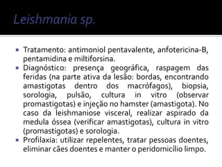    Tratamento: antimoniol pentavalente, anfotericina-B,
    pentamidina e miltiforsina.
   Diagnóstico: presença geográfica, raspagem das
    feridas (na parte ativa da lesão: bordas, encontrando
    amastigotas dentro dos macrófagos), biopsia,
    sorologia, pulsão, cultura in vitro (observar
    promastigotas) e injeção no hamster (amastigota). No
    caso da leishmaniose visceral, realizar aspirado da
    medula óssea (verificar amastigotas), cultura in vitro
    (promastigotas) e sorologia.
   Profilaxia: utilizar repelentes, tratar pessoas doentes,
    eliminar cães doentes e manter o peridomicílio limpo.
 