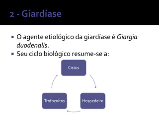    O agente etiológico da giardíase é Giargia
    duodenalis.
   Seu ciclo biológico resume-se a:
                           Cistos




             Trofozoítos            Hospedeiro
 