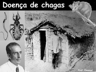 Doença de chagas




                   Prof. Emanuel
 