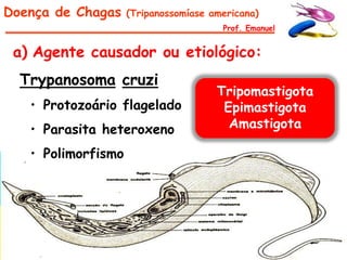 Doença de Chagas    (Tripanossomíase americana)
                                       Prof. Emanuel


 a) Agente causador ou etiológico:
  Trypanosoma cruzi
                                      Tripomastigota
   • Protozoário flagelado             Epimastigota
   • Parasita heteroxeno                Amastigota

   • Polimorfismo
 
