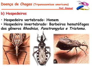 Doença de Chagas   (Tripanossomíase americana)
                                      Prof. Emanuel

b) Hospedeiros
• Hospedeiro vertebrado: Homem
• Hospedeiro invertebrado: Barbeiros hematófagos
dos gêneros Rhodnius, Panstrongylus e Triatoma.
 