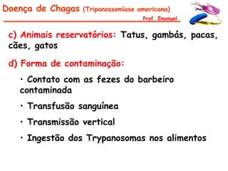 Doença de Chagas   (Tripanossomíase americana)
                                     Prof. Emanuel


 c) Animais reservatórios: Tatus, gambás, pacas,
 cães, gatos

 d) Forma de contaminação:
   • Contato com as fezes do barbeiro
   contaminada
   • Transfusão sanguínea
   • Transmissão vertical
   • Ingestão dos Trypanosomas nos alimentos
 