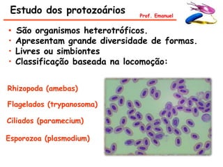 Estudo dos protozoários       Prof. Emanuel


•   São organismos heterotróficos.
•   Apresentam grande diversidade de formas.
•   Livres ou simbiontes
•   Classificação baseada na locomoção:


Rhizopoda (amebas)

Flagelados (trypanosoma)

Ciliados (paramecium)

Esporozoa (plasmodium)
 