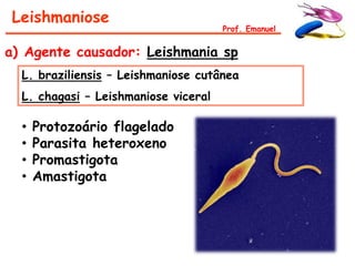 Leishmaniose
                                      Prof. Emanuel


a) Agente causador: Leishmania sp
  L. braziliensis – Leishmaniose cutânea
  L. chagasi – Leishmaniose viceral

  •   Protozoário flagelado
  •   Parasita heteroxeno
  •   Promastigota
  •   Amastigota
 