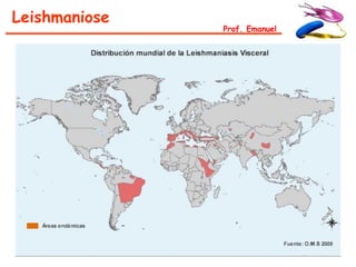 Leishmaniose
               Prof. Emanuel
 