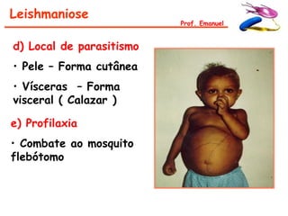 Leishmaniose
                          Prof. Emanuel


d) Local de parasitismo
• Pele – Forma cutânea
• Vísceras – Forma
visceral ( Calazar )

e) Profilaxia
• Combate ao mosquito
flebótomo
 