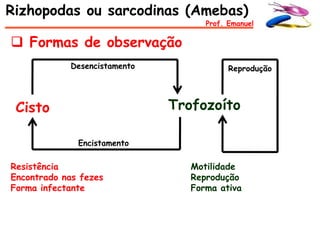 Rizhopodas ou sarcodinas (Amebas)
                                    Prof. Emanuel

 Formas de observação
            Desencistamento               Reprodução




 Cisto                        Trofozoíto

              Encistamento

Resistência                      Motilidade
Encontrado nas fezes             Reprodução
Forma infectante                 Forma ativa
 