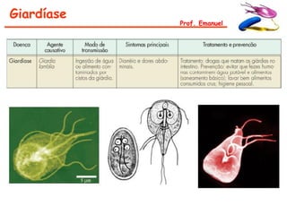 Giardíase
            Prof. Emanuel
 