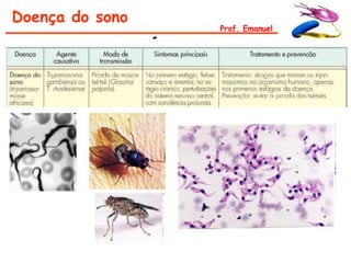 Doença do sono
                 Prof. Emanuel
 
