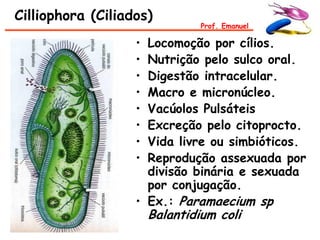 Cilliophora (Ciliados)
                                Prof. Emanuel

                   • Locomoção por cílios.
                   • Nutrição pelo sulco oral.
                   • Digestão intracelular.
                   • Macro e micronúcleo.
                   • Vacúolos Pulsáteis
                   • Excreção pelo citoprocto.
                   • Vida livre ou simbióticos.
                   • Reprodução assexuada por
                     divisão binária e sexuada
                     por conjugação.
                   • Ex.: Paramaecium sp
                       Balantidium coli
 