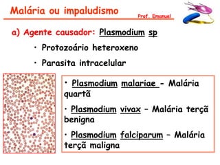 Malária ou impaludismo        Prof. Emanuel


a) Agente causador: Plasmodium sp
    • Protozoário heteroxeno
    • Parasita intracelular

           • Plasmodium malariae - Malária
           quartã
           • Plasmodium vivax – Malária terçã
           benigna
           • Plasmodium falciparum – Malária
           terçã maligna
 