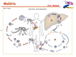 Malária   Prof. Emanuel
 