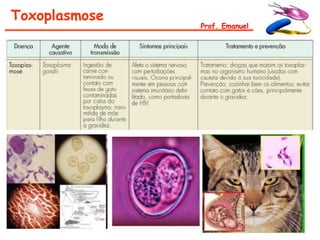 Toxoplasmose
               Prof. Emanuel
 