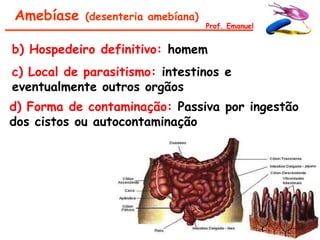 Amebíase    (desenteria amebíana)
                                    Prof. Emanuel


b) Hospedeiro definitivo: homem
c) Local de parasitismo: intestinos e
eventualmente outros orgãos
d) Forma de contaminação: Passiva por ingestão
dos cistos ou autocontaminação
 