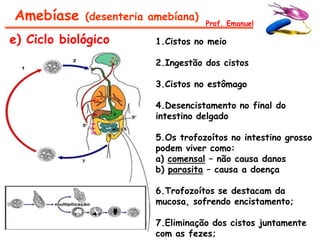 Amebíase     (desenteria amebíana)
                                     Prof. Emanuel

e) Ciclo biológico        1.Cistos no meio

                          2.Ingestão dos cistos

                          3.Cistos no estômago

                          4.Desencistamento no final do
                          intestino delgado

                          5.Os trofozoítos no intestino grosso
                          podem viver como:
                          a) comensal – não causa danos
                          b) parasita – causa a doença

                          6.Trofozoítos se destacam da
                          mucosa, sofrendo encistamento;

                          7.Eliminação dos cistos juntamente
                          com as fezes;
 