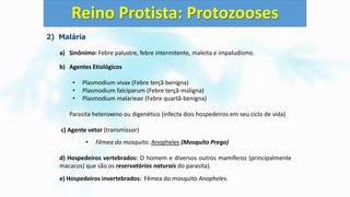 2) Malária
a) Sinônimo: Febre palustre, febre intermitente, maleita e impaludismo.
b) Agentes Etiológicos
• Plasmodium vivax (Febre terçã benigna)
• Plasmodium falciparum (Febre terçã-maligna)
• Plasmodium malarieae (Febre quartã-benigna)
Parasita heteroxeno ou digenético (infecta dois hospedeiros em seu ciclo de vida)
c) Agente vetor (transmissor)
• Fêmea do mosquito: Anopheles (Mosquito Prego)
d) Hospedeiros vertebrados: O homem e diversos outros mamíferos (principalmente
macacos) que são os reservatórios naturais do parasita).
e) Hospedeiros invertebrados: Fêmea do mosquito Anopheles.
Reino Protista: Protozooses
 