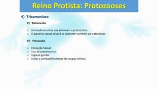 4) Tricomoníase
V) Tratamento
o Há medicamentos que eliminam o protozoário.
o O parceiro sexual deverá se submeter também ao tratamento.
VI) Prevenção
o Educação Sexual
o Uso de preservativos
o Higiene genital
o Evitar o compartilhamento de roupas íntimas
Reino Protista: Protozooses
 