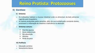 5) Giardíase
V) Sintomas
o Os trofozoítos habitam a mucosa intestinal onde se alimentam do bolo alimentar
ingerido pelo hospedeiro.
o As toxinas produzidas pelos parasitas, além da sua multiplicação constante destes,
promovem a inflamação do intestino e deficiência na absorção.
o Sintomas comuns:
 Diarréia aquosa
 Dores abdominais
 Má abosorção
 Vômitos
 Perda de peso
VI) Profilaxia
o Educação sanitária
o Saneamento básico
Reino Protista: Protozooses
 