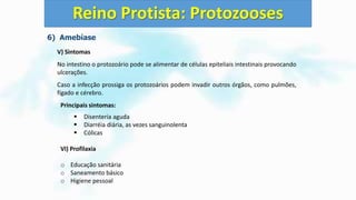 6) Amebíase
V) Sintomas
No intestino o protozoário pode se alimentar de células epiteliais intestinais provocando
ulcerações.
Caso a infecção prossiga os protozoários podem invadir outros órgãos, como pulmões,
fígado e cérebro.
Principais sintomas:
 Disenteria aguda
 Diarréia diária, as vezes sanguinolenta
 Cólicas
VI) Profilaxia
o Educação sanitária
o Saneamento básico
o Higiene pessoal
Reino Protista: Protozooses
 