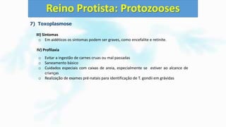 7) Toxoplasmose
III) Sintomas
o Em aidéticos os sintomas podem ser graves, como encefalite e retinite.
IV) Profilaxia
o Evitar a ingestão de carnes cruas ou mal passadas
o Saneamento básico
o Cuidados especiais com caixas de areia, especialmente se estiver ao alcance de
crianças
o Realização de exames pré-natais para identificação de T. gondii em grávidas
Reino Protista: Protozooses
 