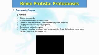 1) Doença de Chagas
i) Profilaxia
o Educar a população.
o Erradicação das casas de pau-a-pique.
o Construir casas de alvenaria, sem esconderijos para o barbeiros.
o Ocupação racional do espaço geográfico.
o Combate ao triatomíneo vetor.
o Fiscalizar e analisar produtos que possam conter fezes do barbeiro como sucos
naturais, creme de açaí, doces, etc.
Reino Protista: Protozooses
 