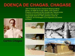Carlos Chagas 1907   Estrada de Ferro Central do Brasil em Minas Gerais, na região do rio das Velhas, entre Corinto e Pirapora no povoado de São Gonçalo das Tabocas (onde se construía uma estação da ferrovia e que, com a  inauguração desta em 1908, ganharia o nome de Lassance, em homenagem a um engenheiro da Central do Brasil)   DOENÇA DE CHAGAS, CHAGASE 