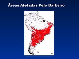 Áreas Afetadas Pelo Barbeiro 