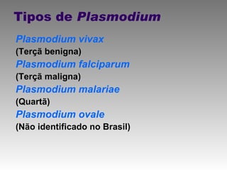 Tipos de  Plasmodium Plasmodium vivax (Terçã benigna) Plasmodium falciparum (Terçã maligna) Plasmodium malariae (Quartã) Plasmodium ovale (Não identificado no Brasil) 