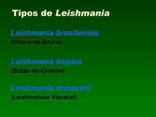 Tipos de  Leishmania Leishmania brasiliensis (Úlcera-de-Bauru) Leishmania tropica (Botão-do-Oriente) Leishmania donovani (Leishmniose Visceral) 