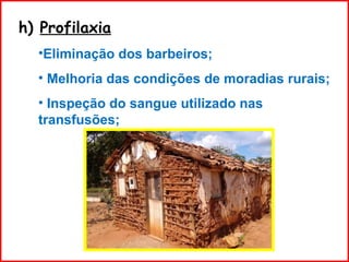 h) Profilaxia
•Eliminação dos barbeiros;
• Melhoria das condições de moradias rurais;
• Inspeção do sangue utilizado nas
transfusões;
 
