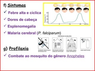 f) Sintomas
 Febre alta e cíclica
 Dores de cabeça
 Esplenomegalia
 Malaria cerebral (P. falciparum)
g) Profilaxia
 Combate ao mosquito do gênero Anopheles
 